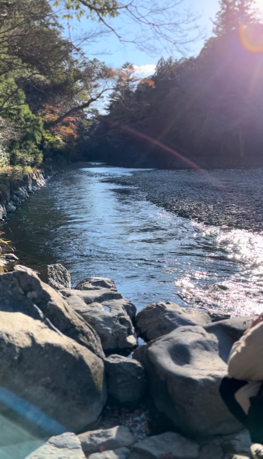 念願だった伊勢神宮へ⛩
気が良すぎて浄化されました🌿‬
伊勢うどん、やわやわでおいしかった！